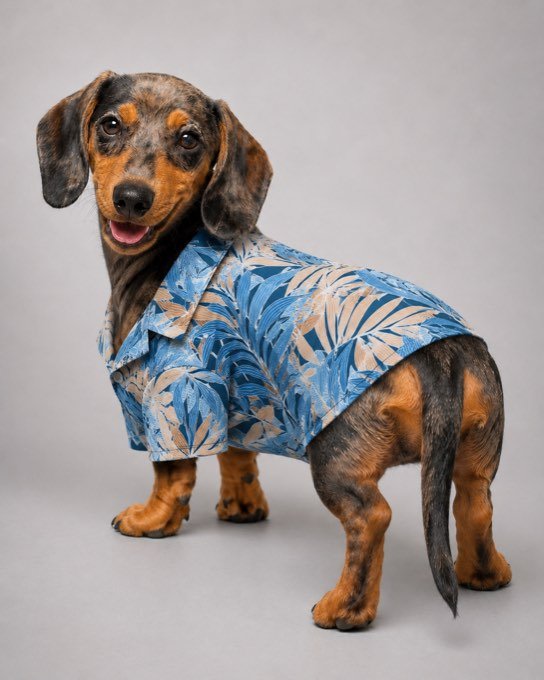 Jagger de perfil con la Camisa Selva — colección Selva de Otoño